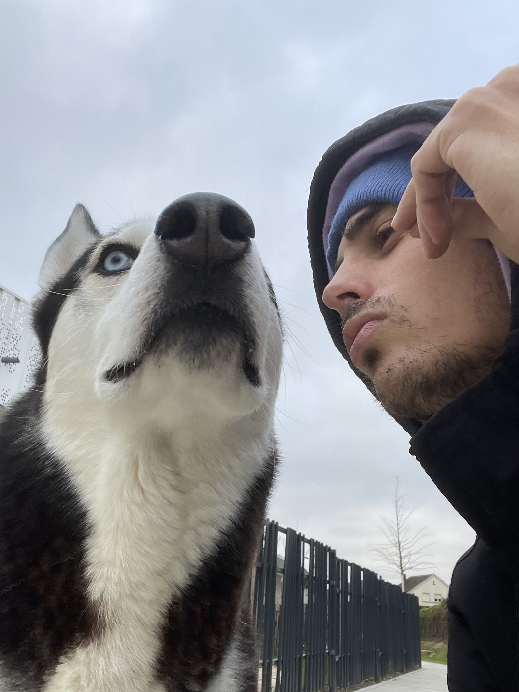 DogFather und Casper Nase an Nase