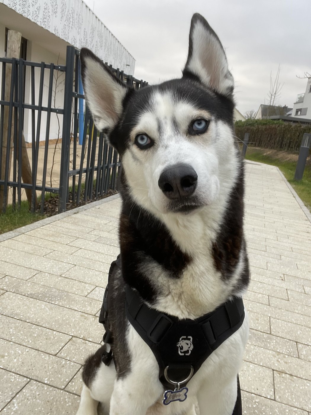 Casper