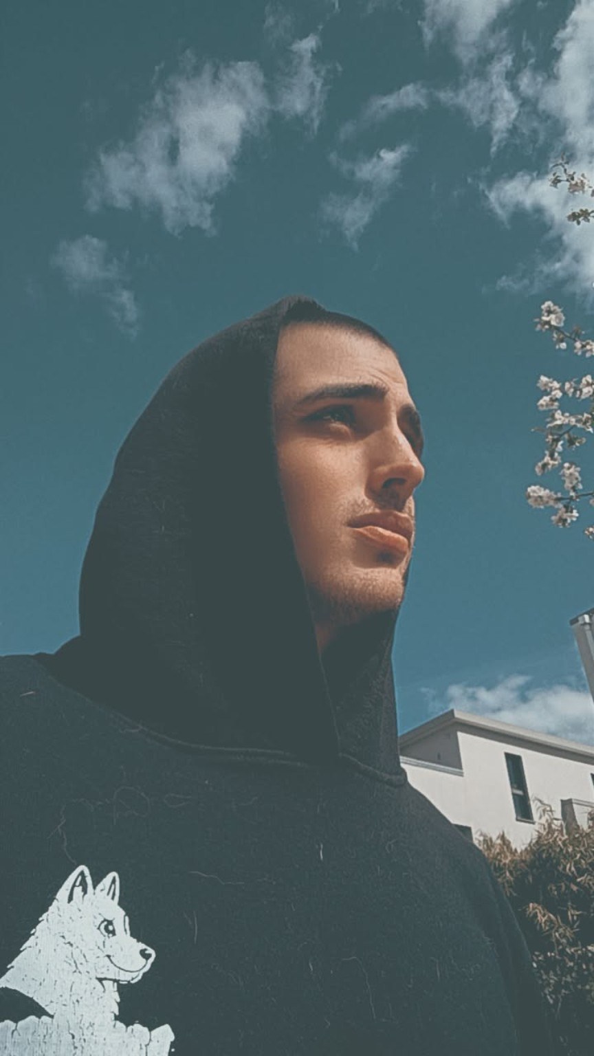 DogFather